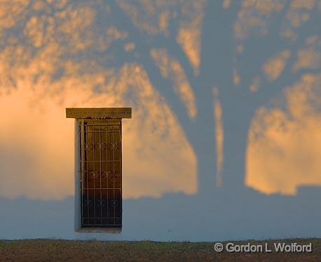 Shadow Tree_43943.jpg - Photographed at Goliad, Texas, USA.